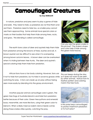 Animal Worksheets - Camouflage - Reading Comprehension