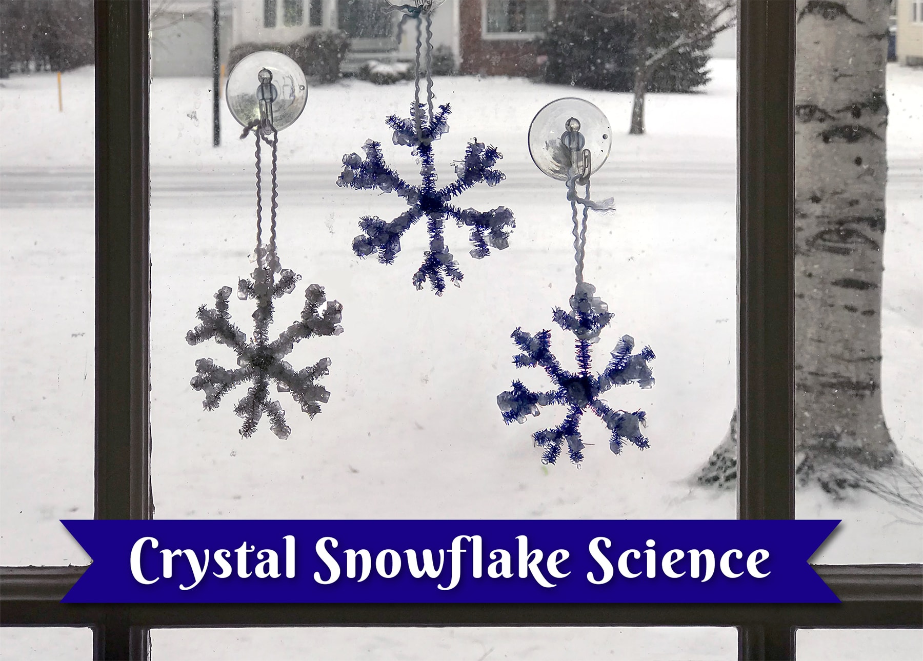 Crystal Snowflake Science Experiment