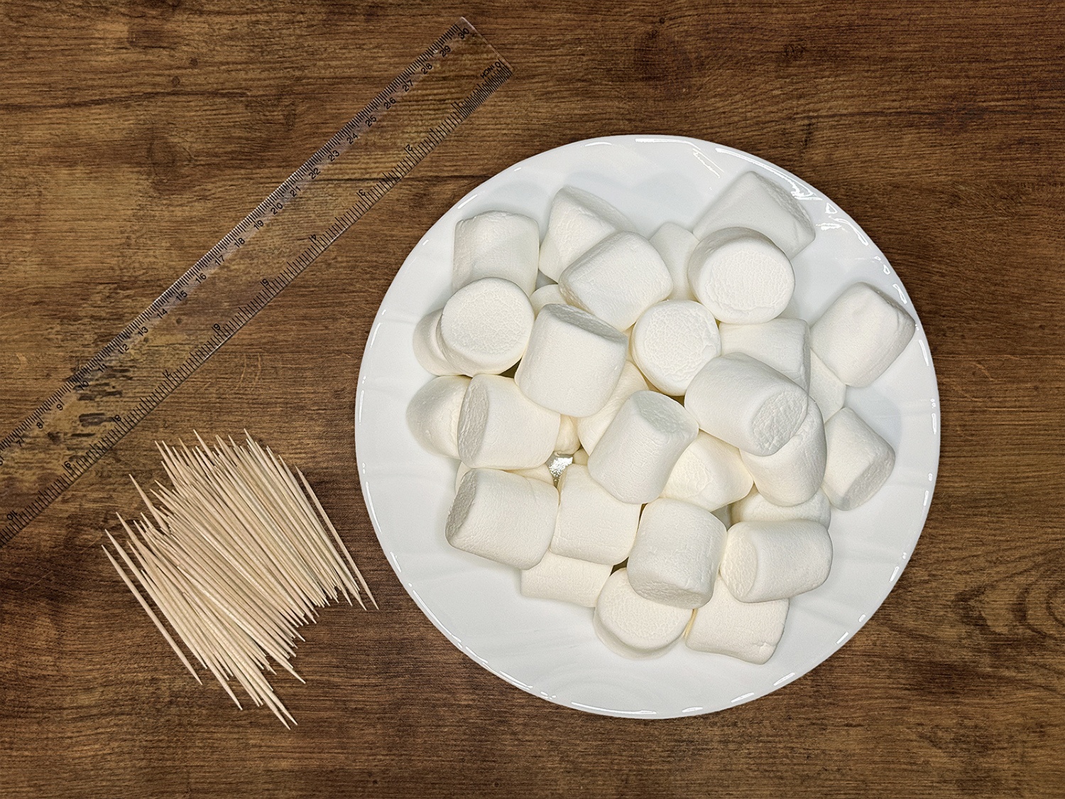 STEM class activity with marshmallows