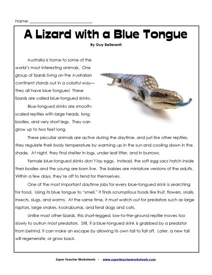Nonfiction Articles - A Lizard with a Blue Tongue (Printable PDF Worksheet)