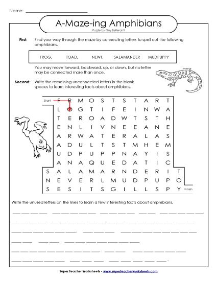 A-Maze-ing Puzzle: Frogs, Toads, Salamanders (Printable PDF Worksheet)