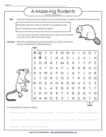 A-Maze-ing Puzzle: Rodents (Printable PDF Worksheet)