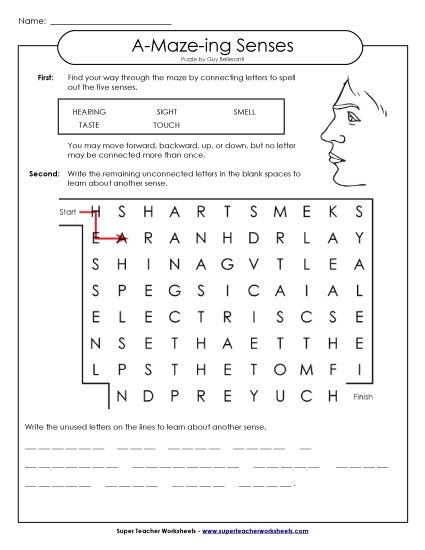 A-Maze-ing Puzzle: Senses (Sharks) (Printable PDF Worksheet)