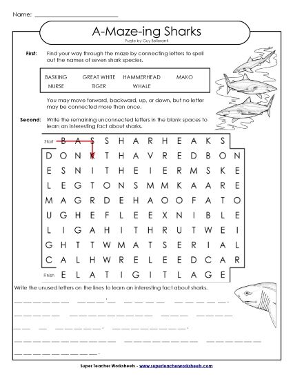 A-Maze-ing Puzzle: Sharks (Printable PDF Worksheet)