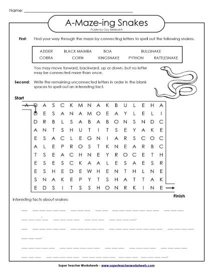 A-Maze-ing Puzzle: Snakes (Printable PDF Worksheet)