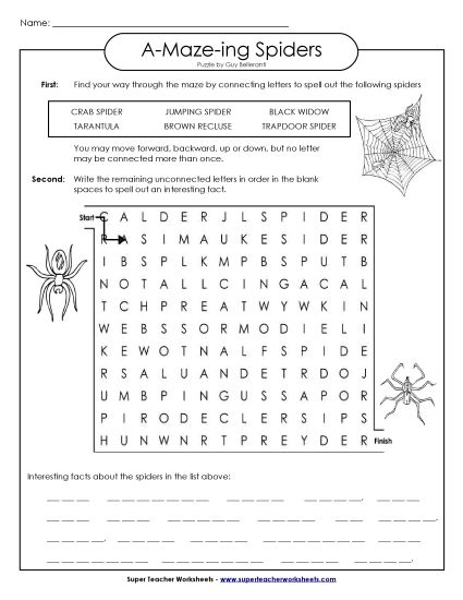 A-Maze-ing Puzzle: Spiders (Printable PDF Worksheet)