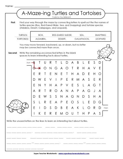 A-Maze-ing Puzzle: Turtles (Printable PDF Worksheet)