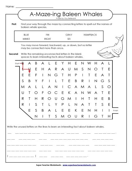 A-Maze-ing Puzzle: Whales (Printable PDF Worksheet)
