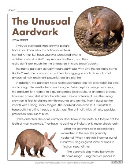 Mammals - Aardvarks (Printable PDF Worksheet)