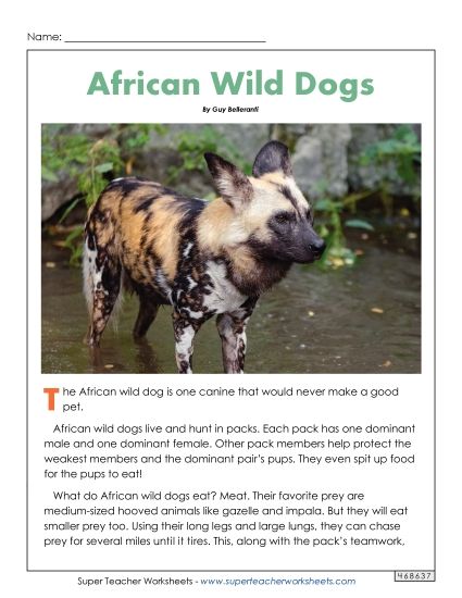 Nonfiction Articles - African Wild Dogs (Printable PDF Worksheet)