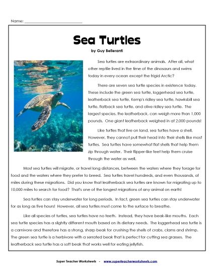 Reptiles - All About Sea Turtles (Printable PDF Worksheet)