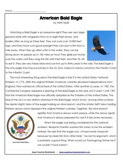 Bald Eagle - American Bald Eagle (Printable PDF Worksheet)