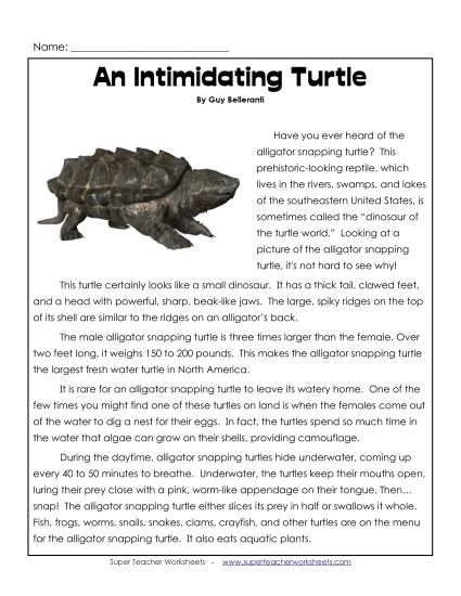 Nonfiction Articles - An Intimidating Turtle (Printable PDF Worksheet)