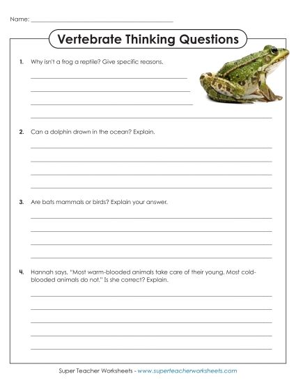 Vertebrate Classification - Animal Classification: Thinking Questions (Printable PDF Worksheet)