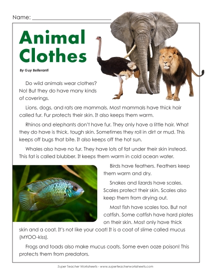 Nonfiction - Animal Clothes (Printable PDF Worksheet)