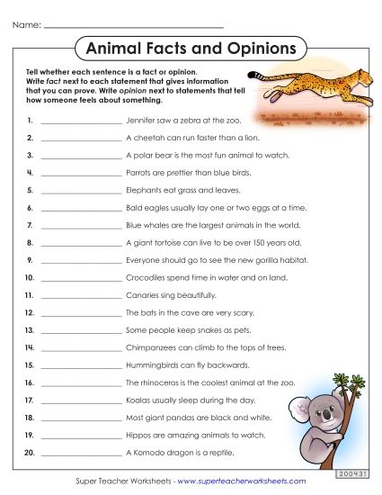 Animal Facts and Opinions (Printable PDF Worksheet)