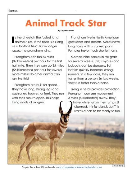 Nonfiction Articles - Animal Track Star (Printable PDF Worksheet)