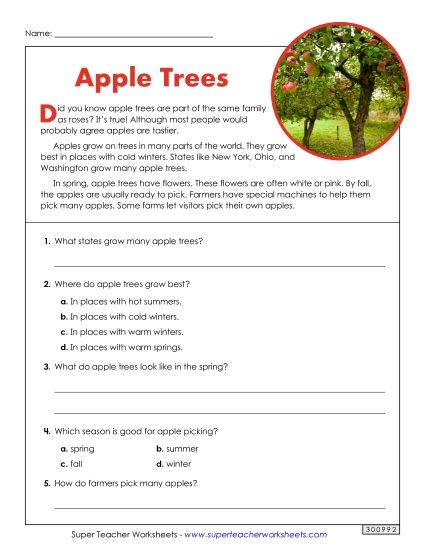 Short Passages - Apple Trees (Short, Nonfiction) (Printable PDF Worksheet)