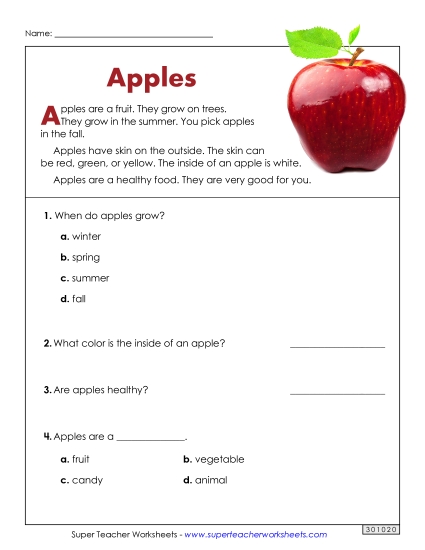 Reading - Apples (Short Nonfiction Article) (Printable PDF Worksheet)
