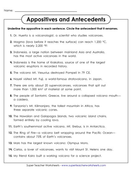 Worksheets - Appositives and Antecedents (Printable PDF Worksheet)