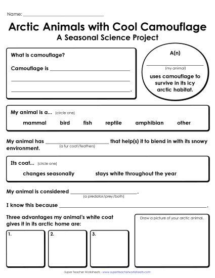 Research Report - Arctic Animals: Camouflage Research Report (Printable PDF Worksheet)