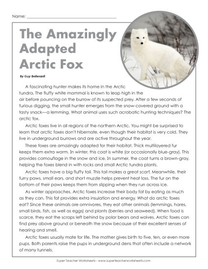 Reading Comprehension - Arctic Foxes in Winter   (Printable PDF Worksheet)