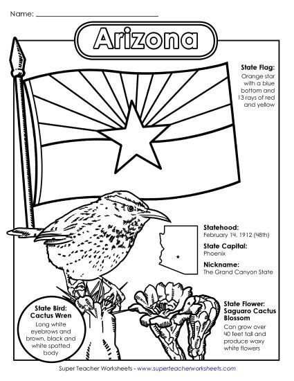 Symbols - Arizona State Symbols Coloring Page (Printable PDF Worksheet)