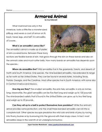 Mammals - Armadillos (Printable PDF Worksheet)