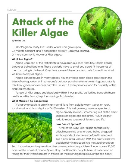 Nonfiction Articles - Attack of the Killer Algae (Printable PDF Worksheet)