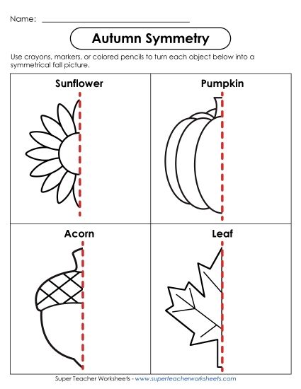 More Math - Autumn Symmetry  (Printable PDF Worksheet)