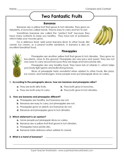 Compare & Contrast - Bananas and Pineapples (Compare & Contrast) (Printable PDF Worksheet)