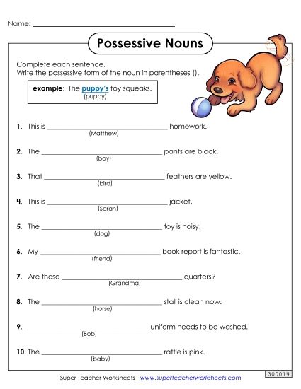 Singular Possessive Only (Basic) - Basic Possessive Nouns (Printable PDF Worksheet)
