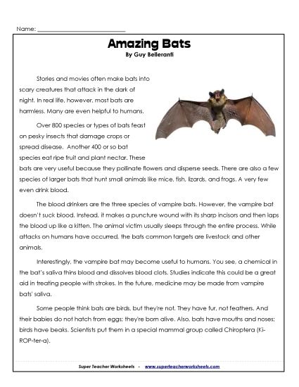 Mammals - Bats (Printable PDF Worksheet)