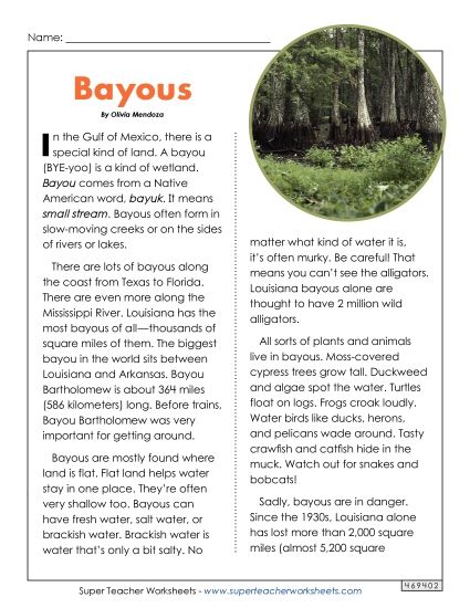 Nonfiction Articles - Bayous (Article) (Printable PDF Worksheet)