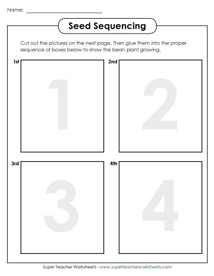 Beans and Bean Plants - Bean Plant Sequencing (Basic) (Printable PDF Worksheet)
