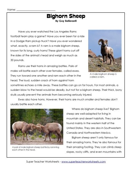 Mammals - Bighorn Sheep (Printable PDF Worksheet)