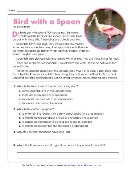 Short Passages - Bird with a Spoon (Short, Nonfiction) (Printable PDF Worksheet)