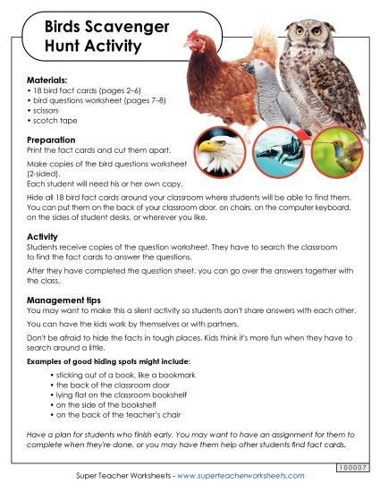 Scavenger Hunts - Birds Classroom Scavenger Hunt (Printable PDF Worksheet)