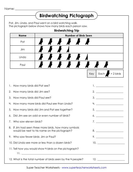 Intermediate Pictographs - Birdwatching Pictograph (Printable PDF Worksheet)