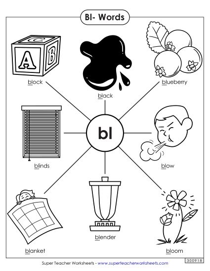 Phonics Blends and Digraphs - Bl- Words (Printable PDF Worksheet)
