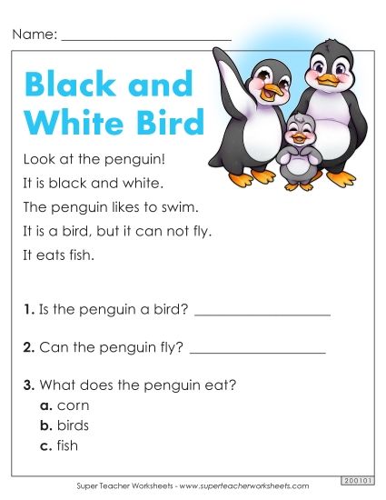 Passages with Basic Reading Comprehension Questions - Black and White Bird (Printable PDF Worksheet)