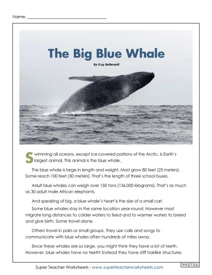 Mammals - Blue Whales (Printable PDF Worksheet)