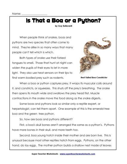 Nonfiction Articles - Boa or Python? (Article) (Printable PDF Worksheet)