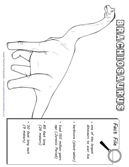 Dino Fact Files - Brachiosaurus Fact File (Printable PDF Worksheet)