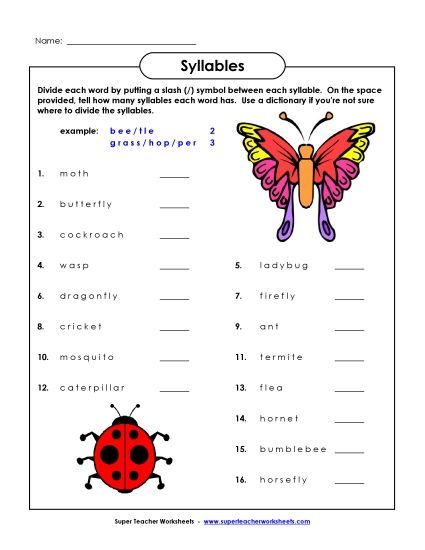 Breaking Words into Syllables  - Insect Theme (Printable PDF Worksheet)