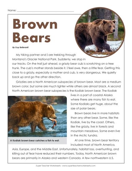 Mammals - Brown Bears Article (Printable PDF Worksheet)