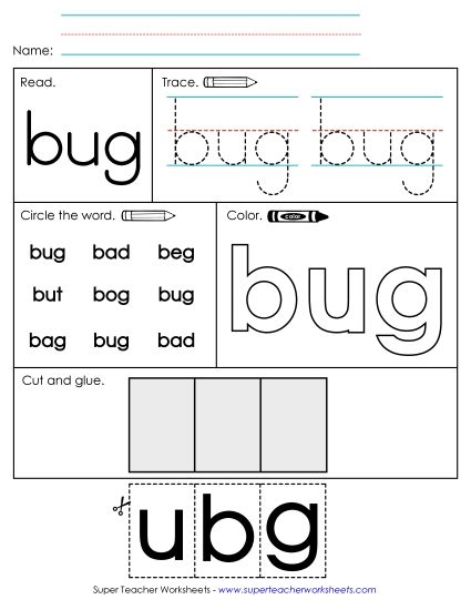 Individual Sight Words - Bug (Sight Word) (Printable PDF Worksheet)
