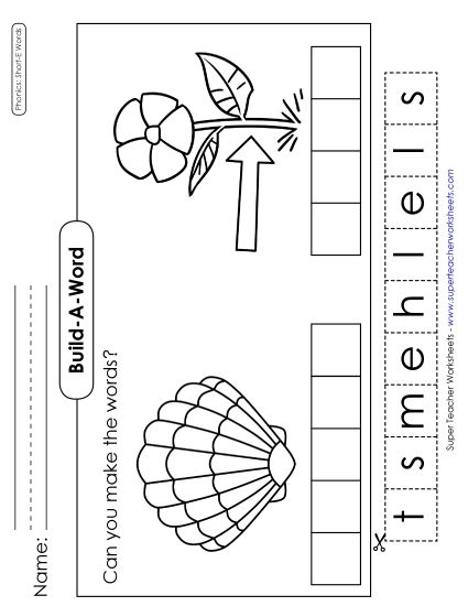 Cut & Glue Activities - Build-a-Word: Stem & Shell (Printable PDF Worksheet)