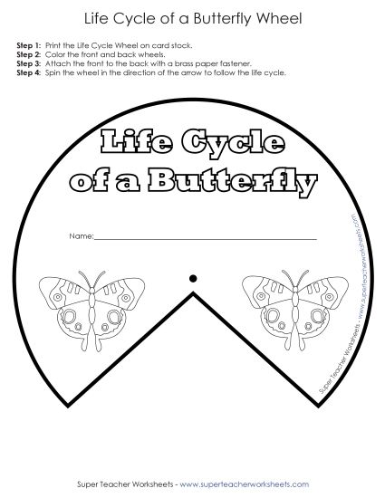 Butterfly Life Cycle Wheel (Printable PDF Worksheet)