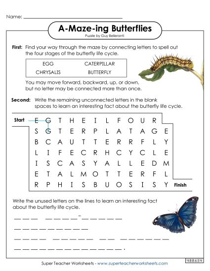 Butterfly Life Cycle Word-Maze Puzzle (Printable PDF Worksheet)
